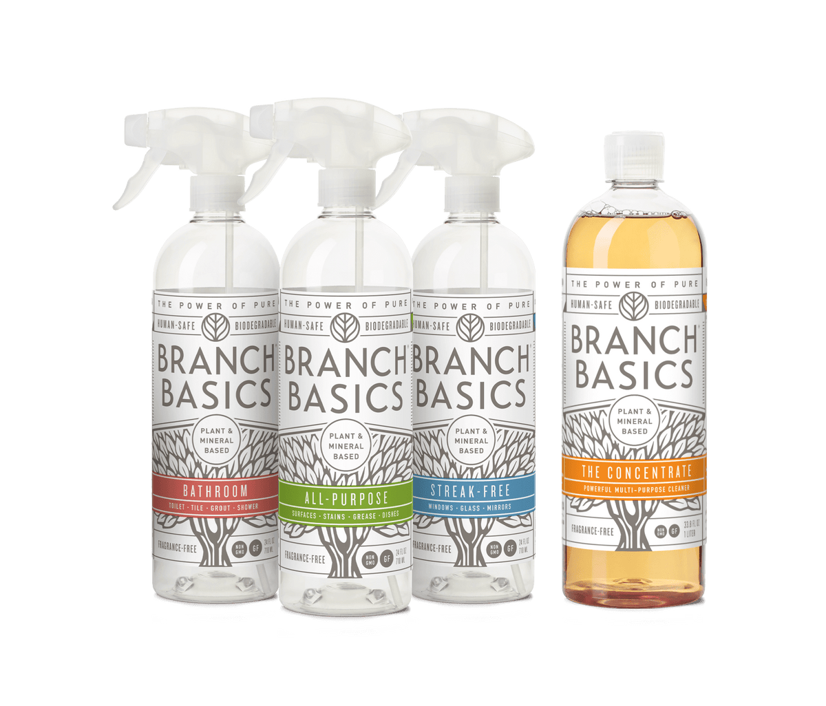 Cleaning Essentials Kit